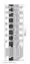 Fig. 23 - Regulatory T cell epitopes, compositions and uses thereof