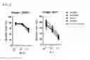 Fig. 06 - Method of expanding NK cell and composition for culturing