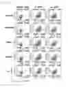 Fig. 07 - Method of expanding NK cell and composition for culturing