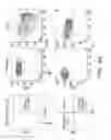 Fig. 04 - IDENTIFICATION AND PRODUCTION OF HIGH AFFINITY IGM ANTIBODIES AND DERIVATIVES THEREOF