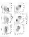 Fig. 05 - IDENTIFICATION AND PRODUCTION OF HIGH AFFINITY IGM ANTIBODIES AND DERIVATIVES THEREOF