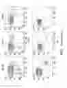 Fig. 06 - IDENTIFICATION AND PRODUCTION OF HIGH AFFINITY IGM ANTIBODIES AND DERIVATIVES THEREOF