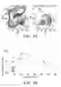 Fig. 08 - IDENTIFICATION AND PRODUCTION OF HIGH AFFINITY IGM ANTIBODIES AND DERIVATIVES THEREOF