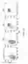 Fig. 09 - IDENTIFICATION AND PRODUCTION OF HIGH AFFINITY IGM ANTIBODIES AND DERIVATIVES THEREOF