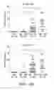 Fig. 10 - IDENTIFICATION AND PRODUCTION OF HIGH AFFINITY IGM ANTIBODIES AND DERIVATIVES THEREOF