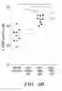 Fig. 13 - IDENTIFICATION AND PRODUCTION OF HIGH AFFINITY IGM ANTIBODIES AND DERIVATIVES THEREOF