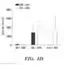Fig. 19 - IDENTIFICATION AND PRODUCTION OF HIGH AFFINITY IGM ANTIBODIES AND DERIVATIVES THEREOF