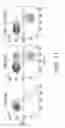 Fig. 23 - IDENTIFICATION AND PRODUCTION OF HIGH AFFINITY IGM ANTIBODIES AND DERIVATIVES THEREOF