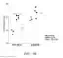 Fig. 24 - IDENTIFICATION AND PRODUCTION OF HIGH AFFINITY IGM ANTIBODIES AND DERIVATIVES THEREOF