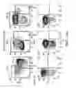 Fig. 29 - IDENTIFICATION AND PRODUCTION OF HIGH AFFINITY IGM ANTIBODIES AND DERIVATIVES THEREOF