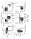Fig. 30 - IDENTIFICATION AND PRODUCTION OF HIGH AFFINITY IGM ANTIBODIES AND DERIVATIVES THEREOF