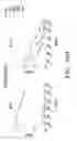 Fig. 32 - IDENTIFICATION AND PRODUCTION OF HIGH AFFINITY IGM ANTIBODIES AND DERIVATIVES THEREOF