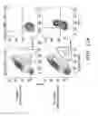 Fig. 33 - IDENTIFICATION AND PRODUCTION OF HIGH AFFINITY IGM ANTIBODIES AND DERIVATIVES THEREOF