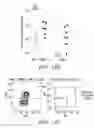 Fig. 34 - IDENTIFICATION AND PRODUCTION OF HIGH AFFINITY IGM ANTIBODIES AND DERIVATIVES THEREOF
