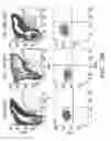 Fig. 36 - IDENTIFICATION AND PRODUCTION OF HIGH AFFINITY IGM ANTIBODIES AND DERIVATIVES THEREOF