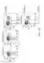 Fig. 37 - IDENTIFICATION AND PRODUCTION OF HIGH AFFINITY IGM ANTIBODIES AND DERIVATIVES THEREOF