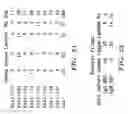Fig. 47 - IDENTIFICATION AND PRODUCTION OF HIGH AFFINITY IGM ANTIBODIES AND DERIVATIVES THEREOF