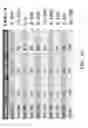 Fig. 52 - IDENTIFICATION AND PRODUCTION OF HIGH AFFINITY IGM ANTIBODIES AND DERIVATIVES THEREOF
