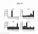 Fig. 03 - HPV epitopes targeted by T cells infiltrating cervical malignancies for use in vaccines