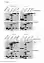 Fig. 09 - Compositions and methods comprising measles virus defective interfering particles for the prevention of infectious diseases