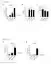 Fig. 03 - Enhanced immunogenicity of mRNA with co-encoded adjuvant sequences