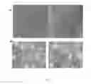 Fig. 08 - COMPOSITIONS FOR SELECTIVE HUMORAL RESPONSES AND METHODS OF USE THEREOF