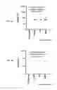 Fig. 20 - Oral mucosal electroporation device and use thereof