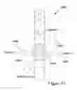 Fig. 08 - Systems and methods for stimulation-related biological circuit element analysis and use
