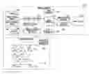Fig. 01 - Medical apparatus and method