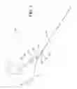 Fig. 02 - Swimmer pacing apparatus