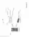Fig. 04 - Smart robotic therapeutic learning toy