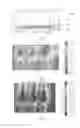 Fig. 05 - TRAY FOR EXCHANGE COLUMN COMPRISING GAS CHIMNEYS SURMOUNTED BY HATS WITH A STREAMLINED PROFILE