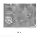 Fig. 05 - METHOD FOR PREPARATION OF HOLLOW FIBER MEMBRANE DEVICES AND THE USE THEREOF