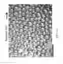 Fig. 07 - Compositions and methods for forming emulsions