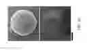 Fig. 09 - Compositions and methods for forming emulsions