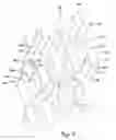 Fig. 05 - Countercurrent contacting devices and method of manufacture