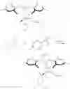 Fig. 331 - Synthesis and characterization of metathesis catalysts