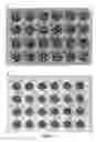 Fig. 06 - Netwell assay plate system