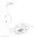 Fig. 01 - Shower head fixture