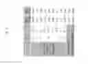 Fig. 07 - Coated article having low-E coating with IR reflecting layer(s) and niobium-doped titanium oxide dielectric layer(s) and method of making same