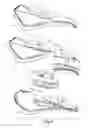 Fig. 03 - Bicycle saddle with multi-density zones