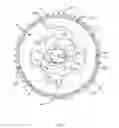 Fig. 05 - Sprocket assembly