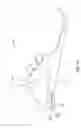Fig. 02 - Plindow with opaque plug