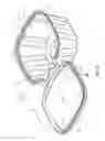 Fig. 02 - Tamper-evident container with a wide tab extending beyond a hinge