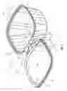 Fig. 09 - Tamper-evident container with a wide tab extending beyond a hinge