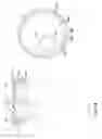 Fig. 04 - ROTABLE CAP SYSTEM FOR DISPENSING ONE OR TWO TABLETS OR CAPSULES FROM A PHARMACY VIAL
