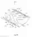 Fig. 33 - Belt contact surface for conveyor system