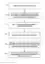 Fig. 01 - Protective layer for a ceramic matrix composite article