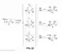Fig. 06 - Carbon dioxide as a directing group for C—H functionalization reactions involving Lewis basic amines, alcohols, thiols, and phosphines for the synthesis of compounds