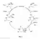 Fig. 07 - Carbon dioxide as a directing group for C—H functionalization reactions involving Lewis basic amines, alcohols, thiols, and phosphines for the synthesis of compounds